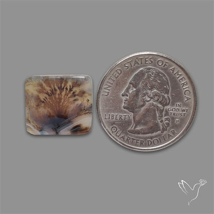 Scenic Agate Cabochon