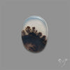 Scenic Agate Cabochon