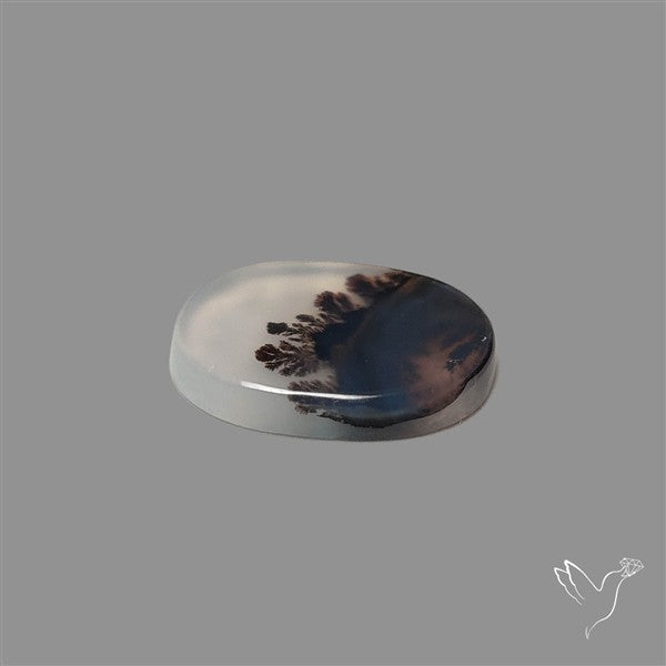 Scenic Agate Cabochon