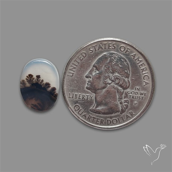 Scenic Agate Cabochon