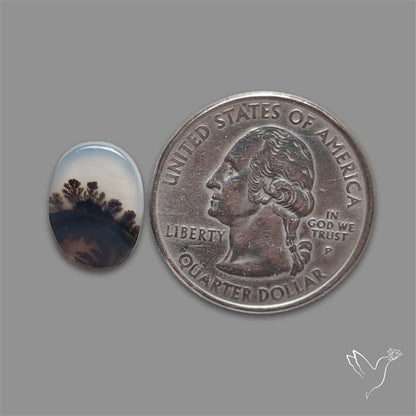 Scenic Agate Cabochon