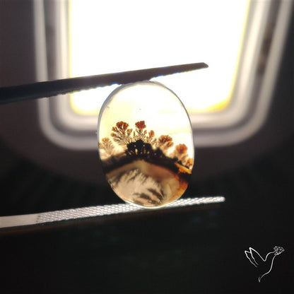 Scenic Agate Cabochon