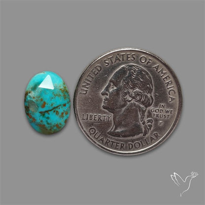Rose Cut Kingman Turquoise