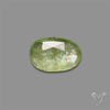 Rose Cut Mint Green Kyanite