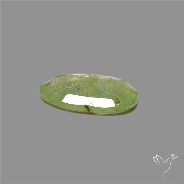Rose Cut Mint Green Kyanite