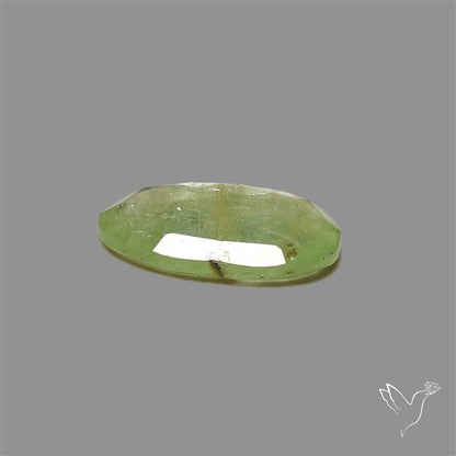 Rose Cut Mint Green Kyanite