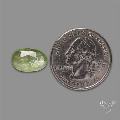 Rose Cut Mint Green Kyanite