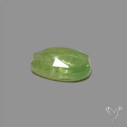 Rose Cut Mint Green Kyanite
