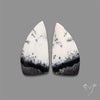 Dendritic Opal Pair