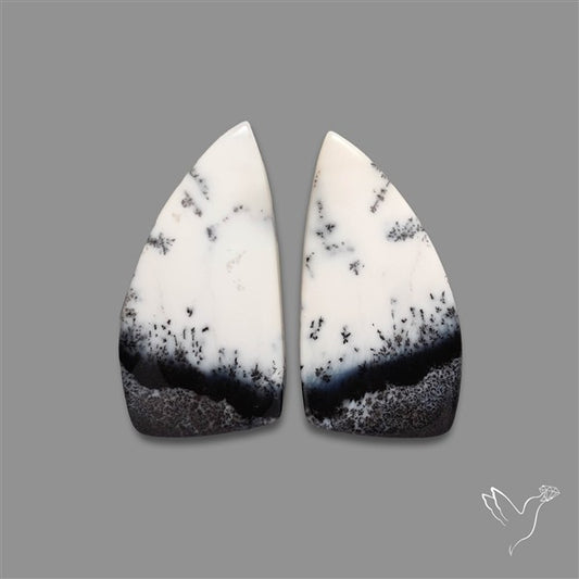 Dendritic Opal Pair