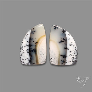 Dendritic Opal Pair
