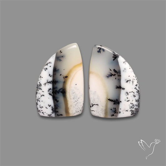 Dendritic Opal Pair