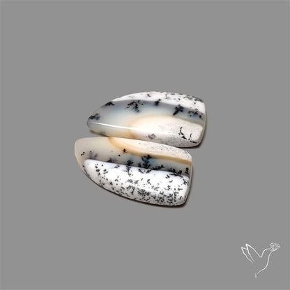 Dendritic Opal Pair