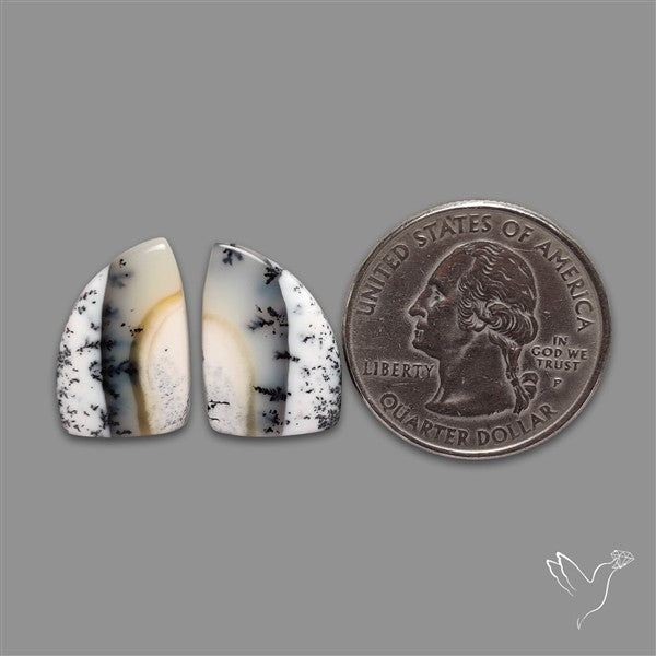 Dendritic Opal Pair