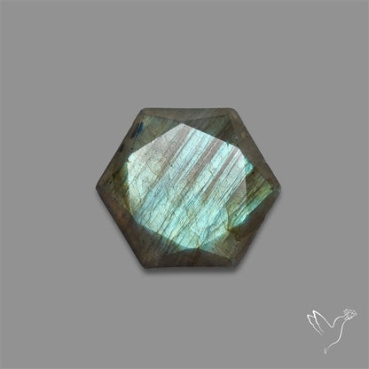 Hexagon Star Cut Labradorite Sea Green Sheen