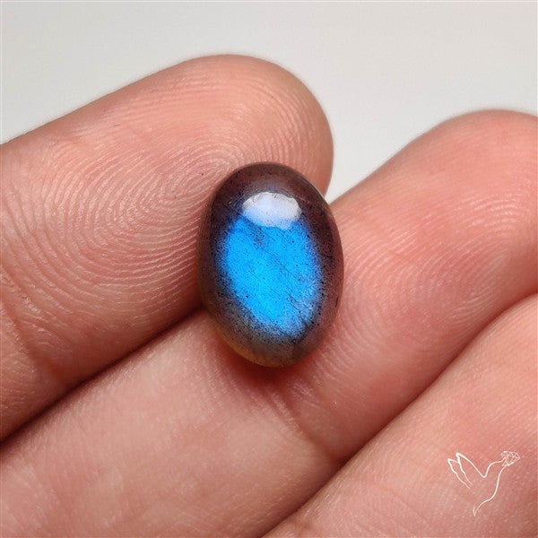 AAA Deep Blue Labradorite Cabochon