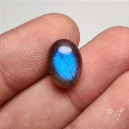 AAA Deep Blue Labradorite Cabochon