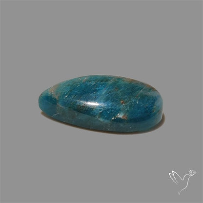 Flashy Neon Apatite Cabochon