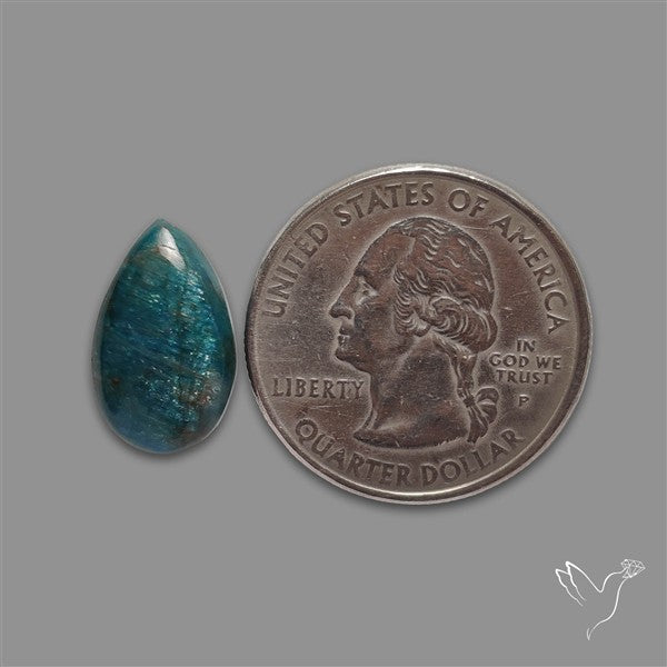Flashy Neon Apatite Cabochon