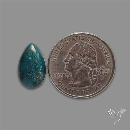 Flashy Neon Apatite Cabochon