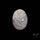 Mother Of Pearl Woman Cameo Carving