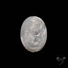 Mother Of Pearl Woman Cameo Carving