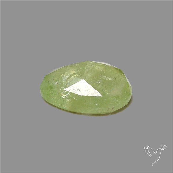 Rose Cut Mint Green Kyanite