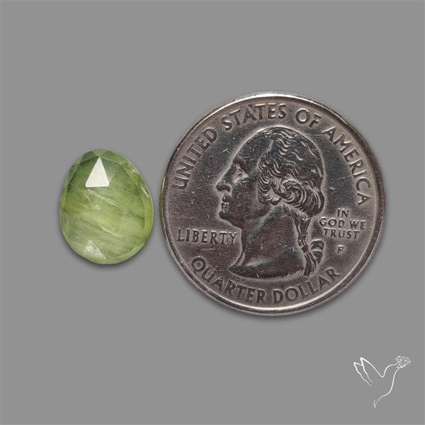 Rose Cut Mint Green Kyanite