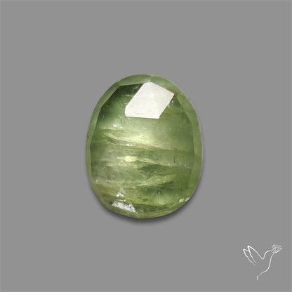 Rose Cut Mint Green Kyanite