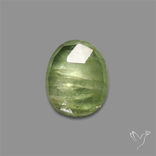 Rose Cut Mint Green Kyanite