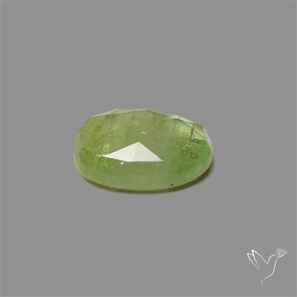 Rose Cut Mint Green Kyanite