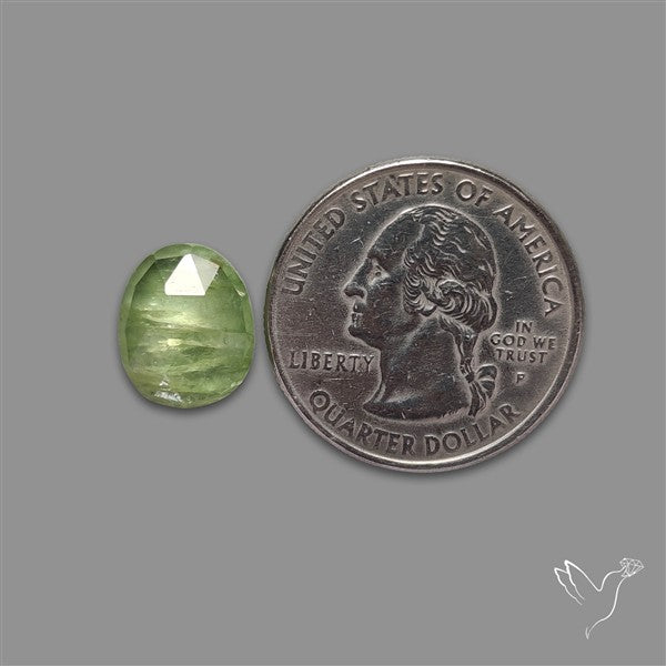 Rose Cut Mint Green Kyanite