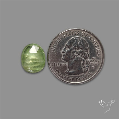 Rose Cut Mint Green Kyanite