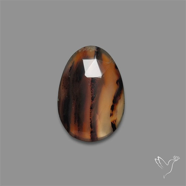 Rose Cut Montana Agate