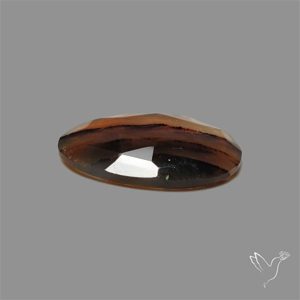 Rose Cut Montana Agate