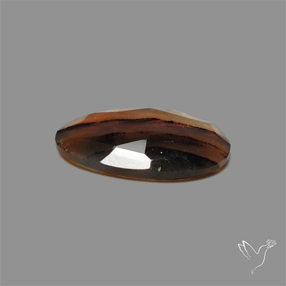 Rose Cut Montana Agate