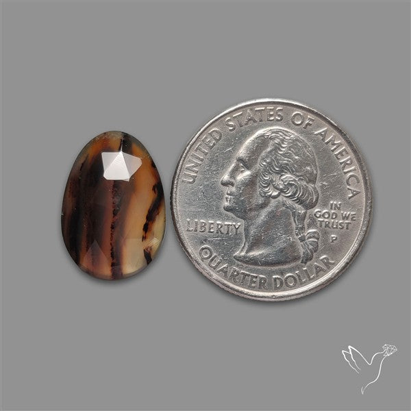 Rose Cut Montana Agate