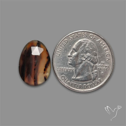 Rose Cut Montana Agate