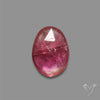 Rose Cut Pink Tourmaline Small