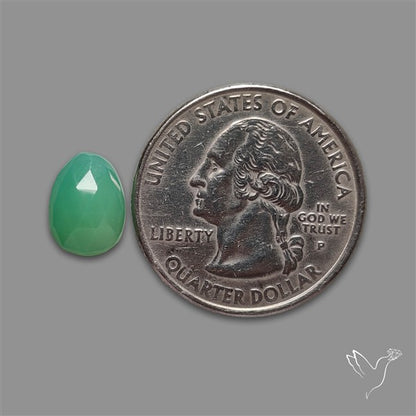 Rose Cut Gemmy Chrysoprase