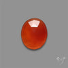 Rose Cut Carnelian Agate