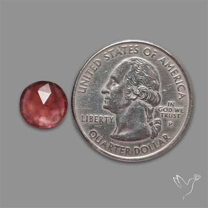 Rose Cut Pink Tourmaline
