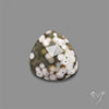 Rose Cut Orbicular Ocean Jasper