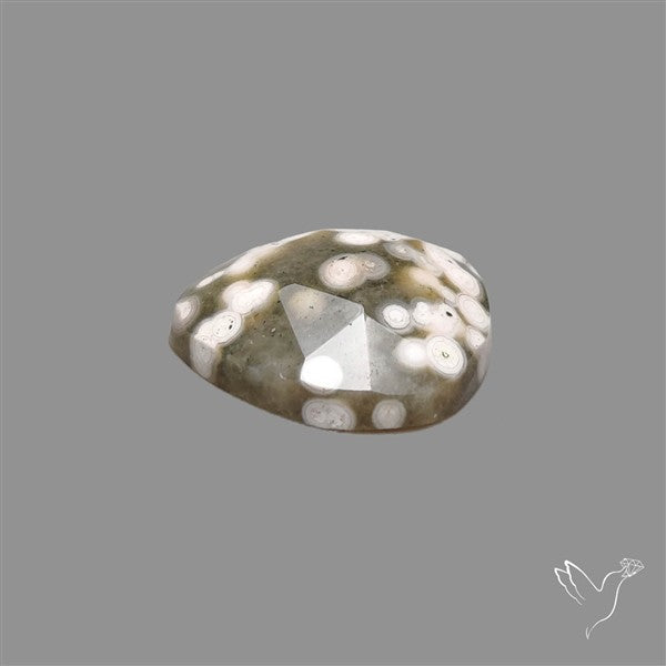 Rose Cut Orbicular Ocean Jasper