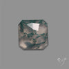 Rose Cut Moss Agate