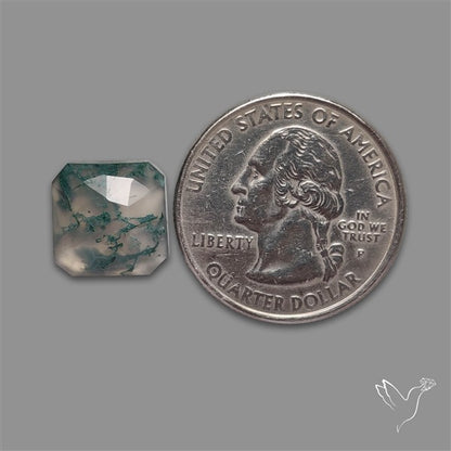 Rose Cut Moss Agate