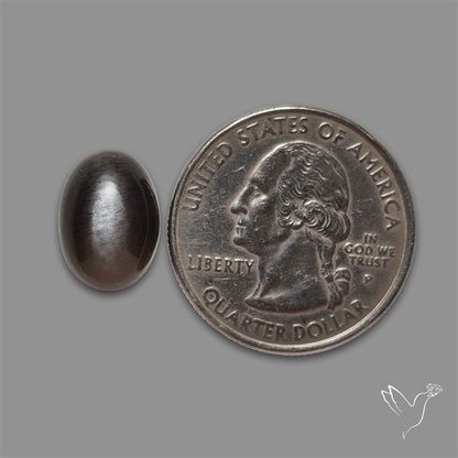 Black Moonstone Cabochon