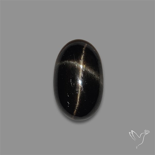 Black Star Diopside Cabochon