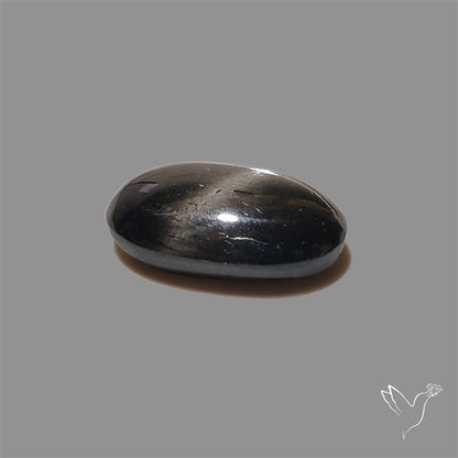 Black Star Diopside Cabochon
