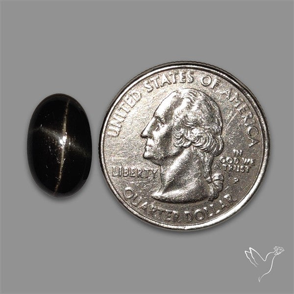 Black Star Diopside Cabochon